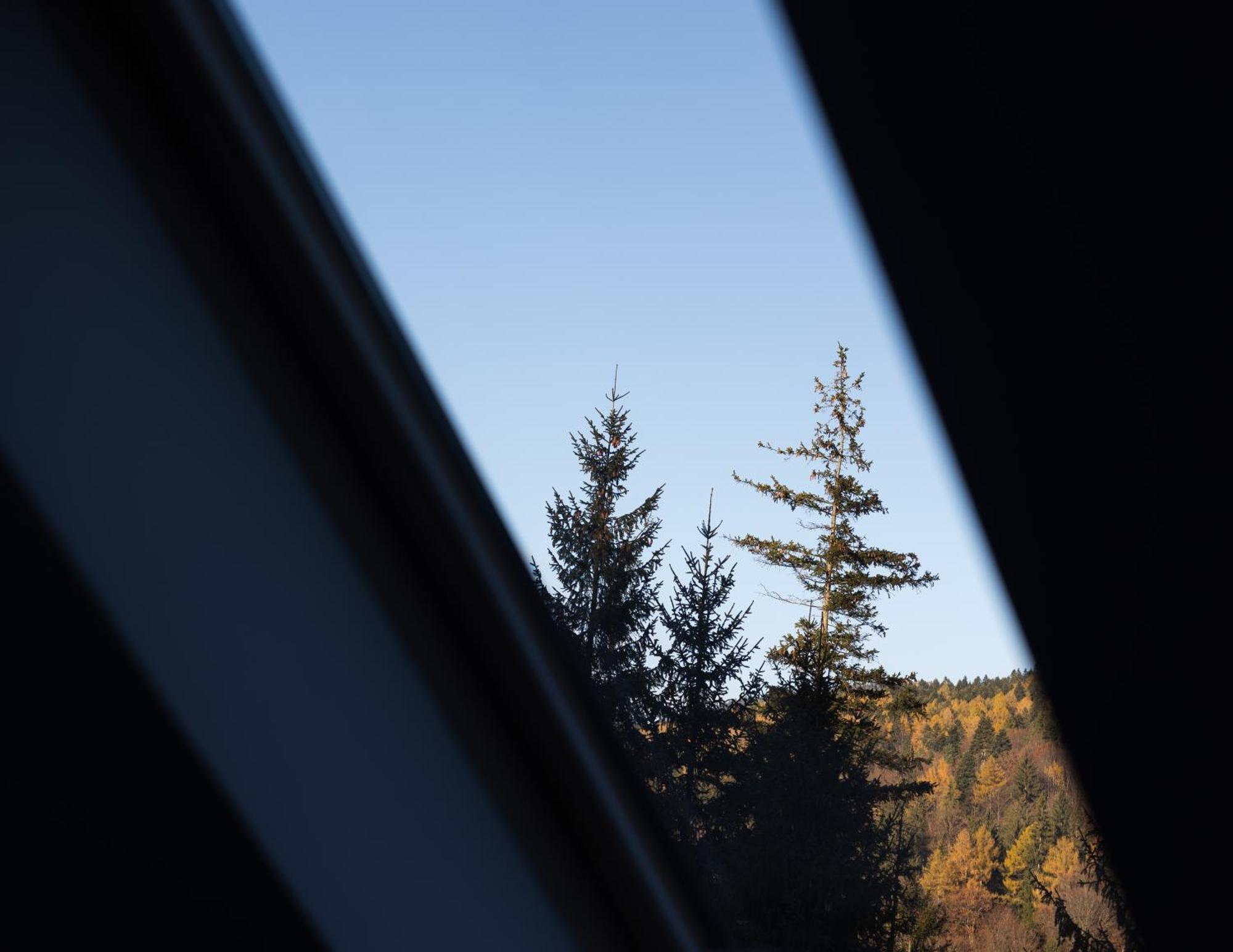 Impala Sinaia - Springbok Lägenhet Exteriör bild